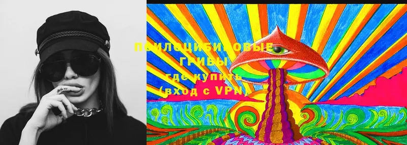 mega зеркало  Дальнегорск  Псилоцибиновые грибы Cubensis 